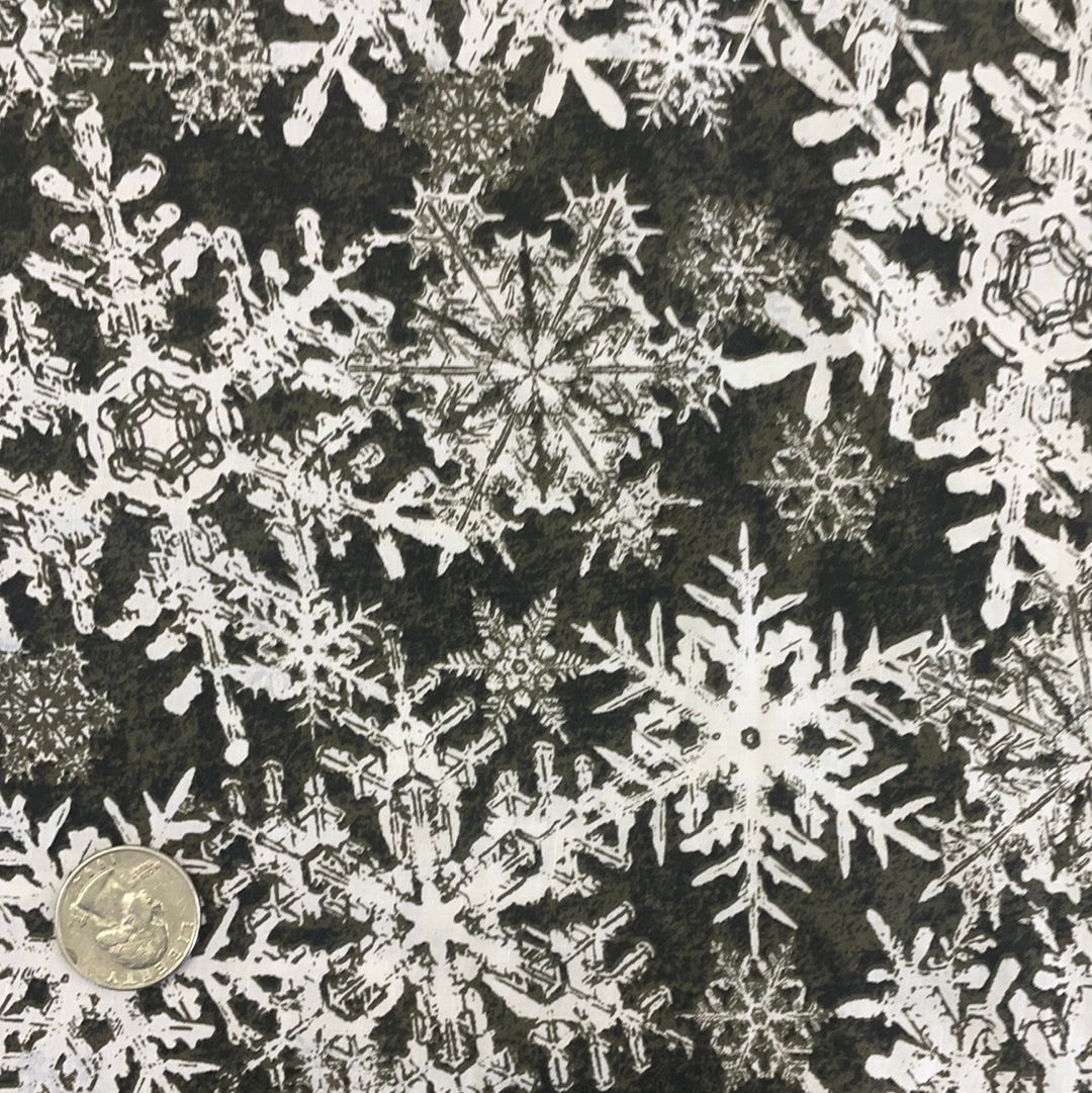 Wintergraphix by Jason Yenter for In the Beginning fabrics- snowflakes