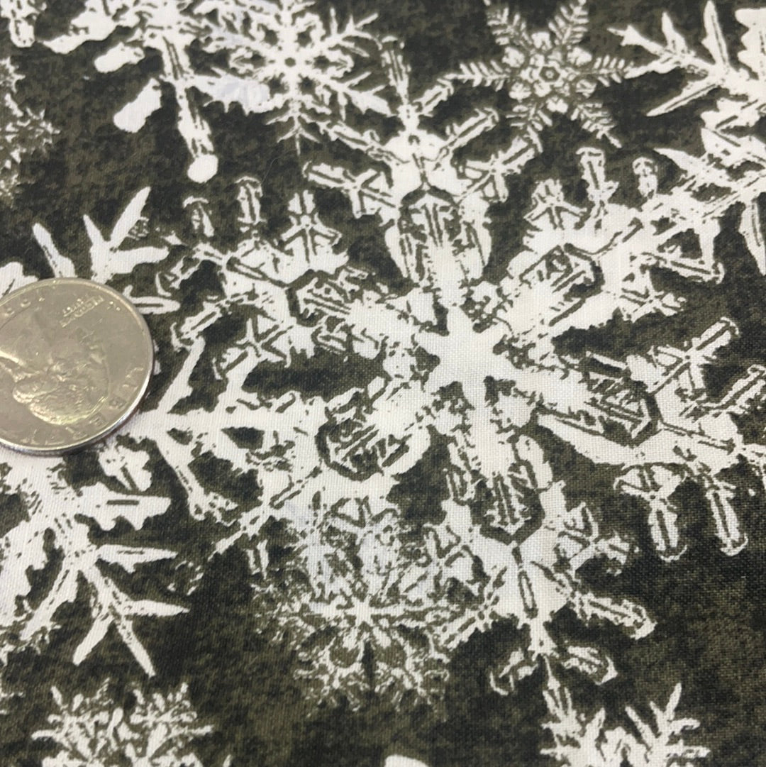 Wintergraphix by Jason Yenter for In the Beginning fabrics- snowflakes