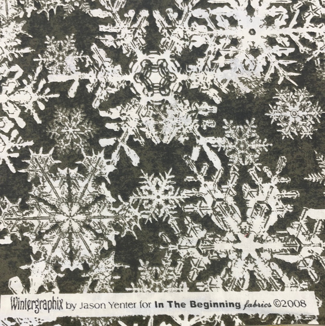 Wintergraphix by Jason Yenter for In the Beginning fabrics- snowflakes