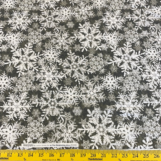 Wintergraphix by Jason Yenter for In the Beginning fabrics- snowflakes